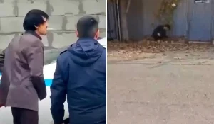 Желіде Ерболат Құдайбергеновке ұқсас адамның ұсталған сәтінің видеосы тарады