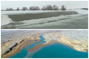 Су оралып, Арал қайта өмірге келді!