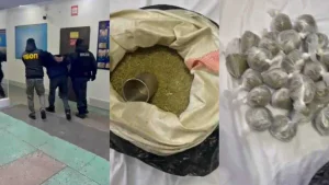 Елімізде заңсыз айналымнан аса ірі мөлшерде есірткі тәркіленген