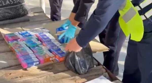 Заңсыз вейп сатумен айналысқан ер адам ұсталды