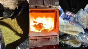 53 келіден астам есірткі заңсыз айналымнан жойылды