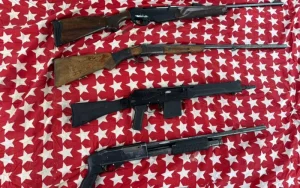 Жыл басынан бастап заңсыз айналымнан 580 қару тәркіленді