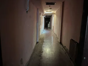 © Sputnik / Айдана Дайырова