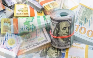 Елімізде валюталық операцияларға бақылау күшейтіледі