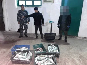 Елімізде табиғи аймақта браконьерлікке тосқауыл қойылды