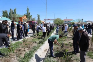 ЖАЛАҒАШТА «ТАЗА ӨЛКЕ – ЖАЛАҒАШ» ЭКОЛОГИЯЛЫҚ АКЦИЯСЫ ӨТТІ