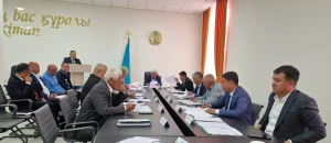 ШИЕЛІДЕ АУДАНДЫҚ ҚОҒАМДЫҚ КЕҢЕСТІҢ КЕЗЕКТІ ОТЫРЫСЫ ӨТТІ
