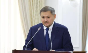 Қазақстандық студенттердің 30%-ы визадан қағылып жатыр