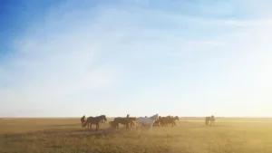 Фото:© Pixabay.com