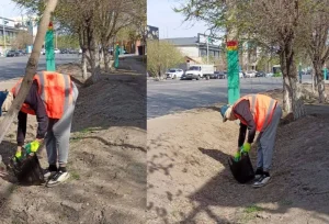 Қызылордада TikTok арқылы табыс таппақ болған қыз жазаланды