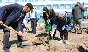 ЖАЛАҒАШТА АУДАНДА «ТАЗА АУЛА» АКЦИЯСЫ ӨТТІ