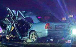 Фото: ©Видеодан скрин