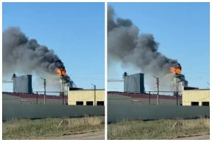 Өсімдік майын шығаратын кәсіпорында өрт шықты