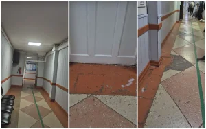 Фото:© Видеодан скриншот