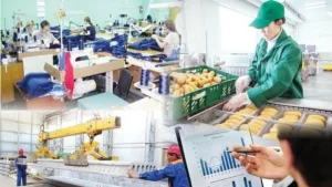 Қазақстанда жаңа кәсіптер атласы толық әзірленді