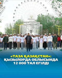 ҚЫЗЫЛОРДА ОБЛЫСЫНДА 12 000 ТАЛ ЕГІЛДІ
