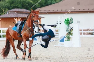 Фото: https://www.shutterstock.com
