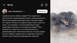 Фото: Желі кадрларынан скрин