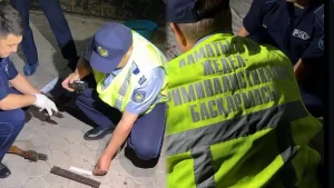 Фото: Алматы полициясы