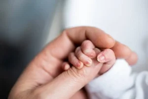 Фото:©istockphoto.com