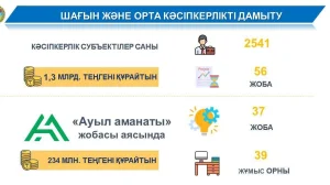 ЖАЛАҒАШТА ШАҒЫН ЖӘНЕ ОРТА КӘСІПКЕРЛІКТІ ҚОЛДАУ ЖҰМЫСТАРЫ ЖАЛҒАСУДА
