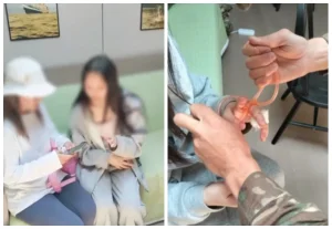 16 жастағы жасөспірімді демалыс орнында жылан шағып ауруханаға жеткізген