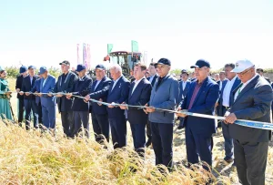 «ДАЛА КҮНІ – 2026»: СЫР ӨҢІРІНДЕ КҮРІШКЕ ОРАҚ ТҮСТІ