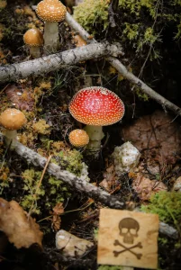 Фото: Opennews.kz ЖИ