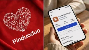 Pinduoduo мен Claude компаниясы Қазақстанға 8 миллиард теңге салық төледі